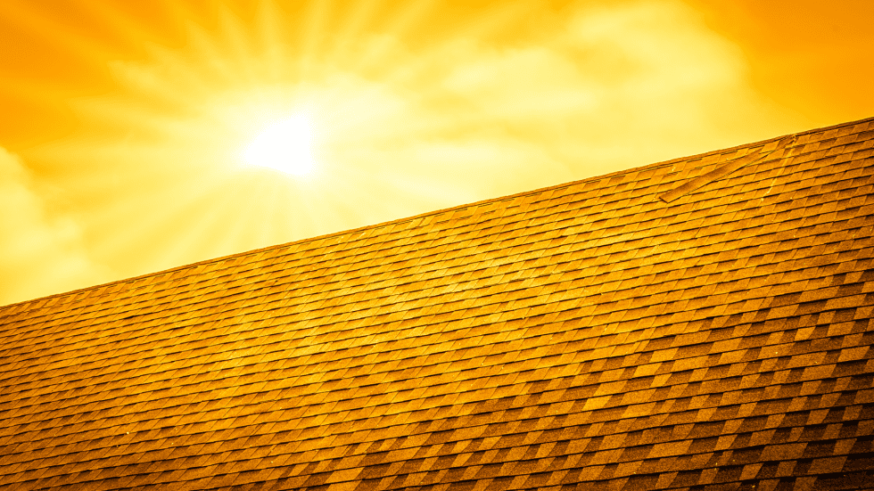 Bright sun beats down on a shingle roof